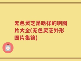 无色灵芝是啥样的啊图片大全(无色灵芝外形图片集锦)