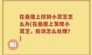 在悬崖上挖到小灵芝怎么办(在悬崖上发现小灵芝，应该怎么处理？)