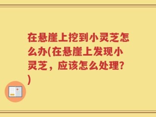 在悬崖上挖到小灵芝怎么办(在悬崖上发现小灵芝，应该怎么处理？)