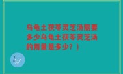 乌龟土茯苓灵芝汤需要多少乌龟土茯苓灵芝汤的用量是多少？)