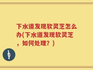 下水道发现软灵芝怎么办(下水道发现软灵芝，如何处理？)