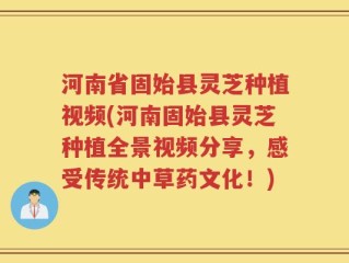 河南省固始县灵芝种植视频(河南固始县灵芝种植全景视频分享，感受传统中草药文化！)
