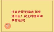 托克逊灵芝栽培(托克逊山区：灵芝种植带动乡村经济)