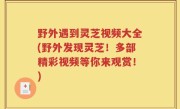 野外遇到灵芝视频大全(野外发现灵芝！多部精彩视频等你来观赏！)