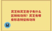 灵芝和灵芝孢子有什么区别和功效？灵芝有哪些形态特征和功效