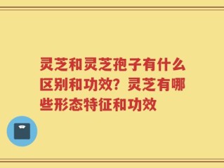 灵芝和灵芝孢子有什么区别和功效？灵芝有哪些形态特征和功效
