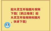 超大灵芝开箱图片视频下载(【鹤立雕像】超大灵芝开箱视频和图片，快速下载)