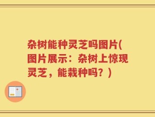 杂树能种灵芝吗图片(图片展示：杂树上惊现灵芝，能栽种吗？)