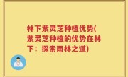 林下紫灵芝种植优势(紫灵芝种植的优势在林下：探索雨林之道)