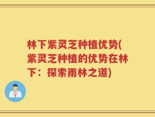 林下紫灵芝种植优势(紫灵芝种植的优势在林下：探索雨林之道)