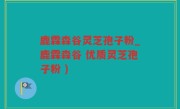 鹿霖森谷灵芝孢子粉_鹿霖森谷 优质灵芝孢子粉 )