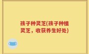 孩子种灵芝(孩子种植灵芝，收获养生好处)