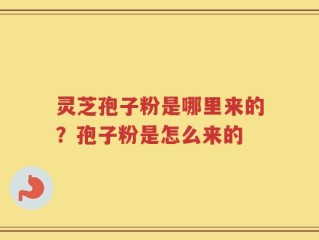 灵芝孢子粉是哪里来的？孢子粉是怎么来的