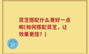 灵芝搭配什么更好一点呢(如何搭配灵芝，让效果更佳？)