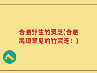 合肥野生竹灵芝(合肥出现罕见的竹灵芝！)