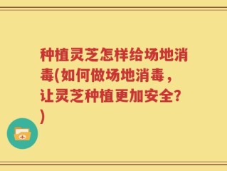 种植灵芝怎样给场地消毒(如何做场地消毒，让灵芝种植更加安全？)