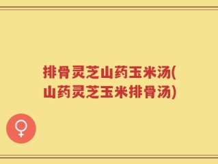 排骨灵芝山药玉米汤(山药灵芝玉米排骨汤)