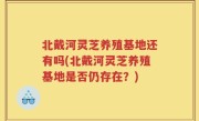 北戴河灵芝养殖基地还有吗(北戴河灵芝养殖基地是否仍存在？)