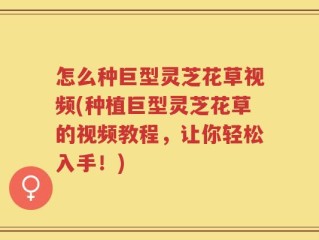 怎么种巨型灵芝花草视频(种植巨型灵芝花草的视频教程，让你轻松入手！)