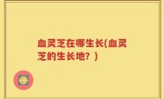 血灵芝在哪生长(血灵芝的生长地？)