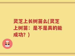 灵芝上长树苗么(灵芝上树苗：是不是真的能成功？)