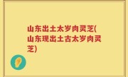 山东出土太岁肉灵芝(山东现出土古太岁肉灵芝)