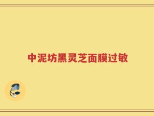 中泥坊黑灵芝面膜过敏