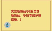 灵芝地铁站孕妇(灵芝地铁站：孕妇专属护理措施。)