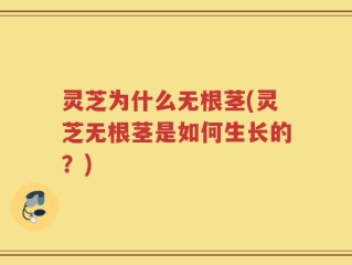 灵芝为什么无根茎(灵芝无根茎是如何生长的？)