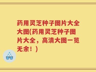 药用灵芝种子图片大全大图(药用灵芝种子图片大全，高清大图一览无余！)