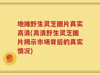 地摊野生灵芝图片真实高清(高清野生灵芝图片揭示市场背后的真实情况)