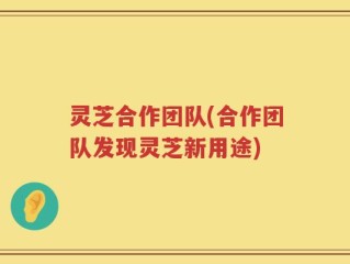 灵芝合作团队(合作团队发现灵芝新用途)