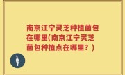 南京江宁灵芝种植菌包在哪里(南京江宁灵芝菌包种植点在哪里？)