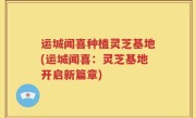 运城闻喜种植灵芝基地(运城闻喜：灵芝基地开启新篇章)