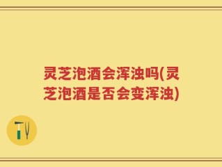 灵芝泡酒会浑浊吗(灵芝泡酒是否会变浑浊)