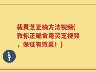 栽灵芝正确方法视频(教你正确食用灵芝视频，保证有效果！)