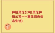 种植灵芝公司(灵芝种植公司——重生绿色生态生活)