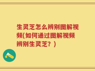 生灵芝怎么辨别图解视频(如何通过图解视频辨别生灵芝？)
