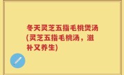 冬天灵芝五指毛桃煲汤(灵芝五指毛桃汤，滋补又养生)