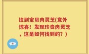 捡到宝贝肉灵芝(意外惊喜！发现珍贵肉灵芝，这是如何找到的？)
