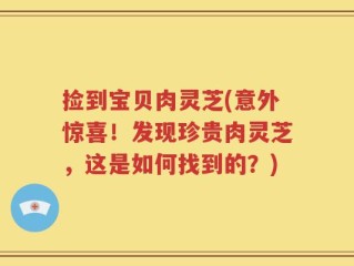 捡到宝贝肉灵芝(意外惊喜！发现珍贵肉灵芝，这是如何找到的？)