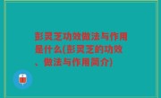 彭灵芝功效做法与作用是什么(彭灵芝的功效、做法与作用简介)