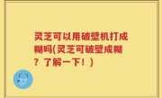 灵芝可以用破壁机打成糊吗(灵芝可破壁成糊？了解一下！)