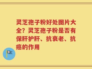 灵芝孢子粉好处图片大全？灵芝孢子粉是否有保肝护肝、抗衰老、抗癌的作用