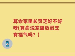 算命家里长灵芝好不好呀(算命说家里放灵芝有福气吗？)