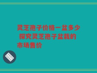 灵芝孢子价格一盆多少 探究灵芝孢子盆栽的市场售价