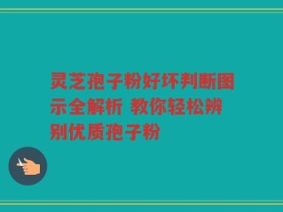 灵芝孢子粉好坏判断图示全解析 教你轻松辨别优质孢子粉