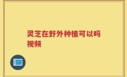 灵芝在野外种植可以吗视频