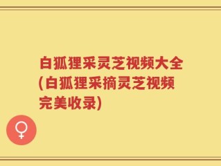白狐狸采灵芝视频大全(白狐狸采摘灵芝视频完美收录)