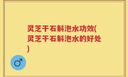 灵芝干石斛泡水功效(灵芝干石斛泡水的好处)